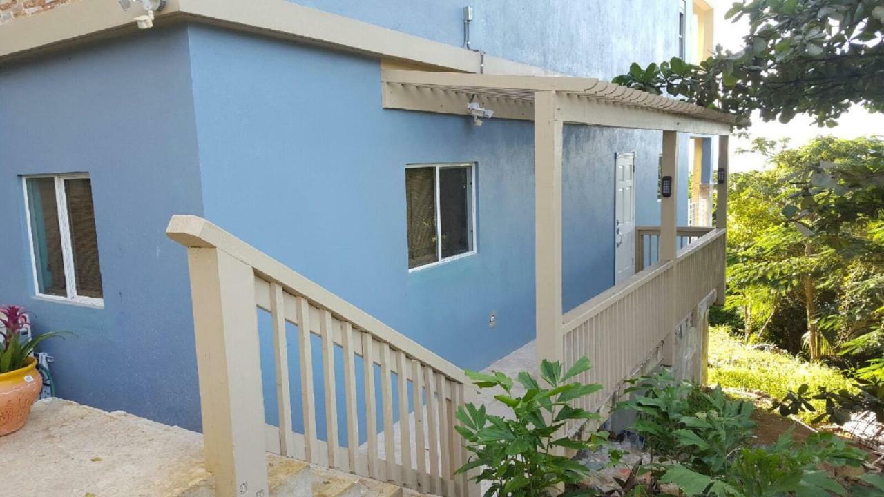 Villa Indigo Sunny 1Br Apartment In Private Gated Estate Charlotte Amalie Eksteriør billede